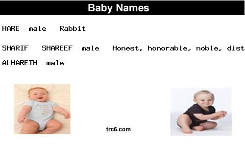 hare baby names